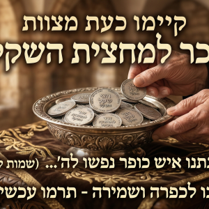 זכר למחצית השקל